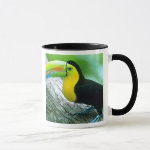 Mug AMÉRIQUE CENTRALE, Panama, Borro Colorado Island 2