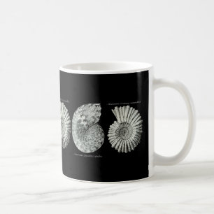 Mug Ammonites
