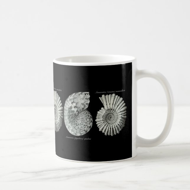 Mug Ammonites (Droite)