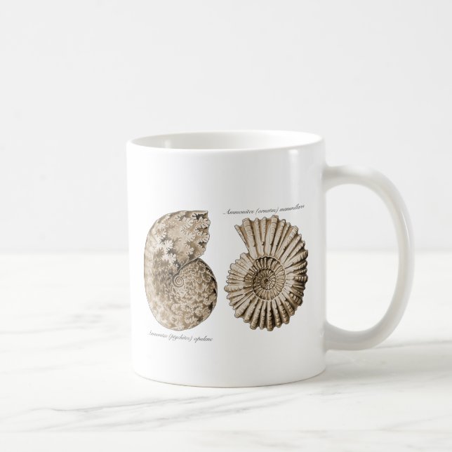 Mug Ammonites (Droite)