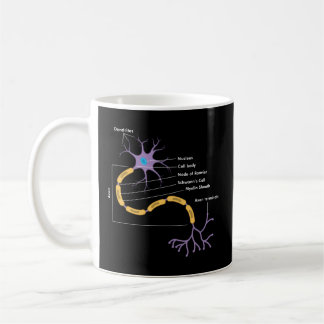 Mug Anatomie Du Neurologue Neuron