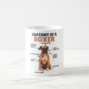 Mug Anatomie D'Un Chien Doux Boxer Chien Chien Chien C