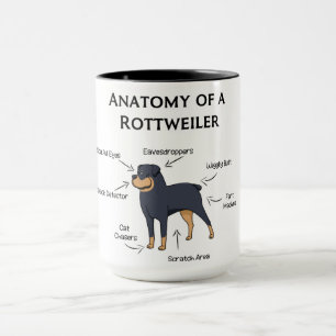 Mug Anatomie D'Un Rottweiler