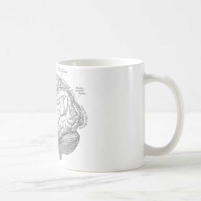 Mug Anatomie vintage de cerveau (Droite)