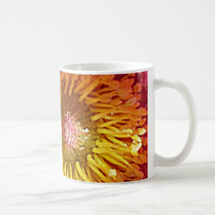 Mug Anémone