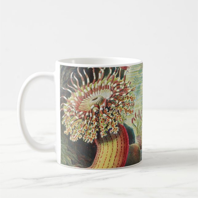 Mug Anémones de mer, Actiniae Seeanemonen Ernst Haecke (Gauche)