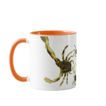 Animaux amusants Crabes Abstraits et piscines de p