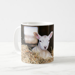 Mug Animaux de bébés cutest Agneau nouveau-né