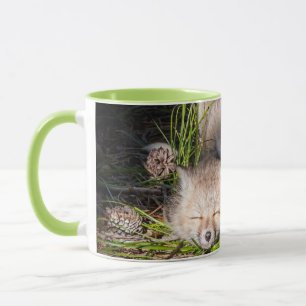 Mug Animaux de bébés cutest   Baby Red Fox Kits Sleepi