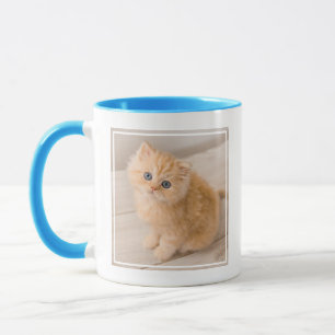 Mug Animaux de bébés cutest   British Longhair Kitten