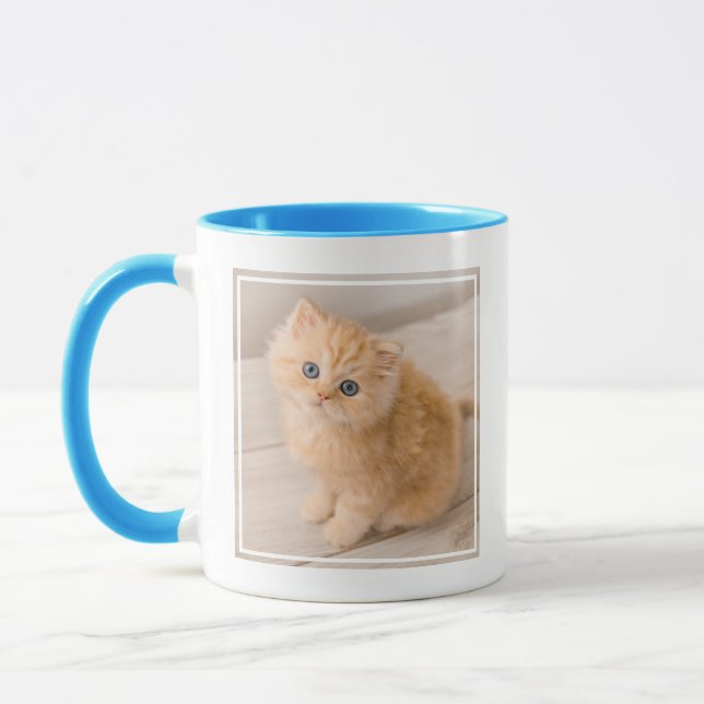 Mug Animaux de bébés cutest | British Longhair Kitten (Gauche)