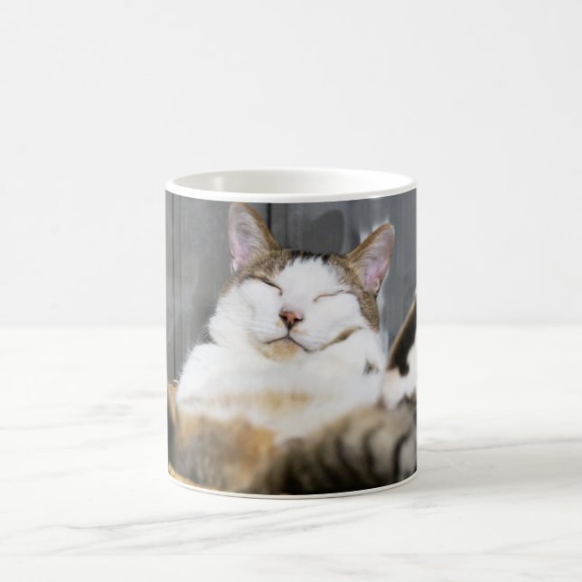 Mug Animaux de bébés cutest | Chat dans le lit (Centre)