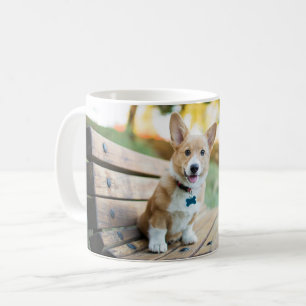 Mug Animaux de bébés cutest   Corgi Puppy sur un banc 