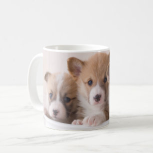 Mug Animaux de bébés cutest   Cute Corgi Chipies dans 