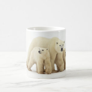 Mug Animaux de bébés cutest   Famille d'ours polaires