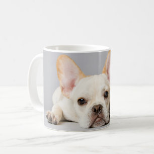Mug Animaux de bébés cutest   French Bulldog Lying Dow