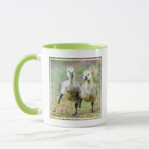 Mug Animaux de bébés cutest   Goélands d'oies canadien