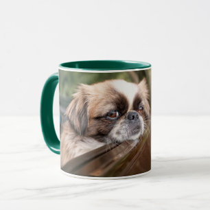 Mug Animaux de bébés cutest   Pekingese Chiot en voitu
