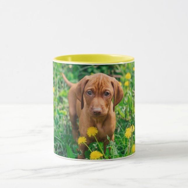 Mug Animaux de bébés cutest | Pointeur (Centre)