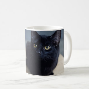 Mug Animaux de bébés cutest   Portrait d'un chat noir