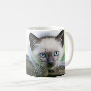 Mug Animaux de bébés cutest   Siamese Kitten 2