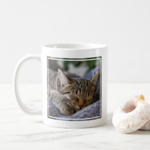 Mug Animaux de bébés cutest Tabby Kitten Sommeil