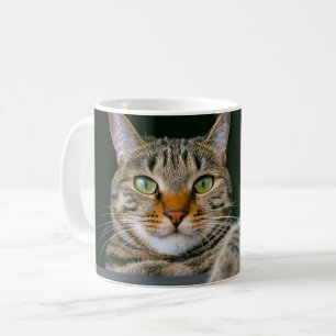 Mug Animaux de bébés cutest Tête de chat gris Tabby