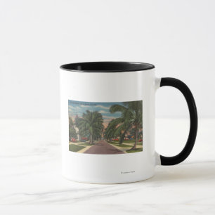 Mug Anna Maria, Floride - Vue sur Palms le long de la