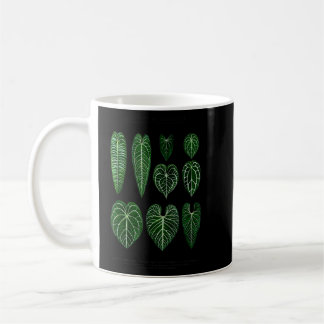 Mug Anthurium Plantes Foliage Veitchii Waroqueanum Cla