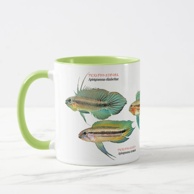Mug Apistgramma (Gauche)