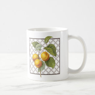 MUG APRICOTS