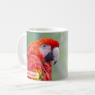 Mug Ara scarlatin Psaume 91:4 KJV