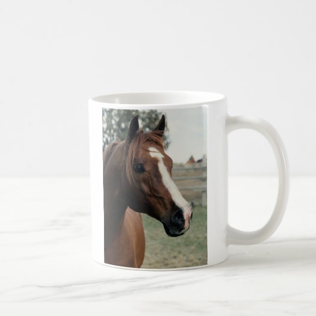 Mug Arabian au Pasture (Droite)
