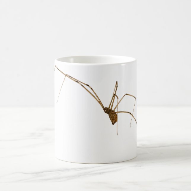 Mug Araignée (Centre)