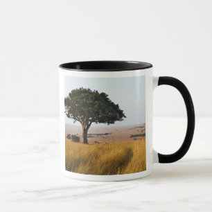 Mug Arbre d'acacia isolé dans les plaines herbeuses, M