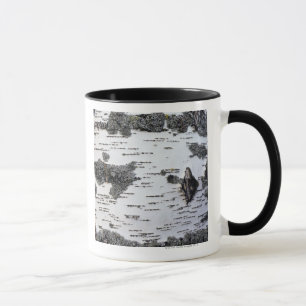 Mug Arbre de bouleau dans la forêt, détail, avec de 