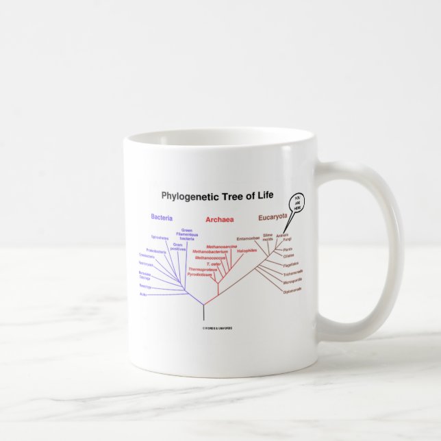 Mug Arbre de la vie phylogénétique - vous êtes ici (la (Droite)