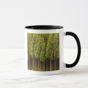 Mug Arbres de cèdre de Koya Sugi