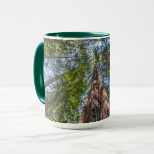 Mug Arbres de séquoia   Comté de Marin, Californie