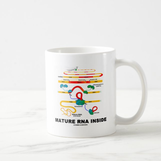 Mug ARN mûr à l'intérieur (Droite)