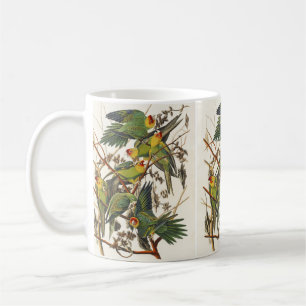 Mug Art ancien d'oiseau de Audubon Perruche de Carolin