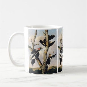 Mug Art Audubon vintage Pic à bec ivoire