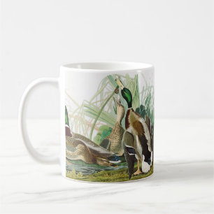 Mug Art Vintage Audubon Canard colvert Faune