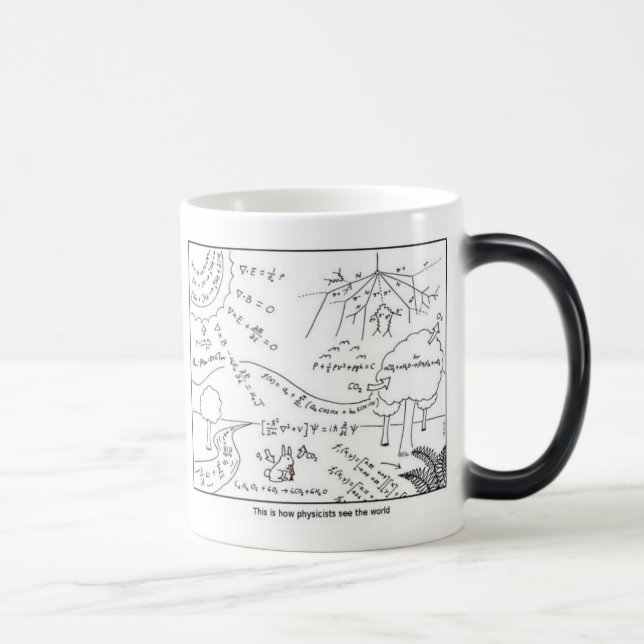 Mug as physicists see the world ~ LEFT-HANDED (Right)