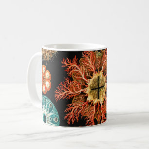 Mug Ascidiae, Seescheiden Marine Life par Ernst Haecke