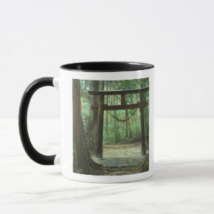 Mug Asie, Japon, Kagoshima, Yakushima, Montagne