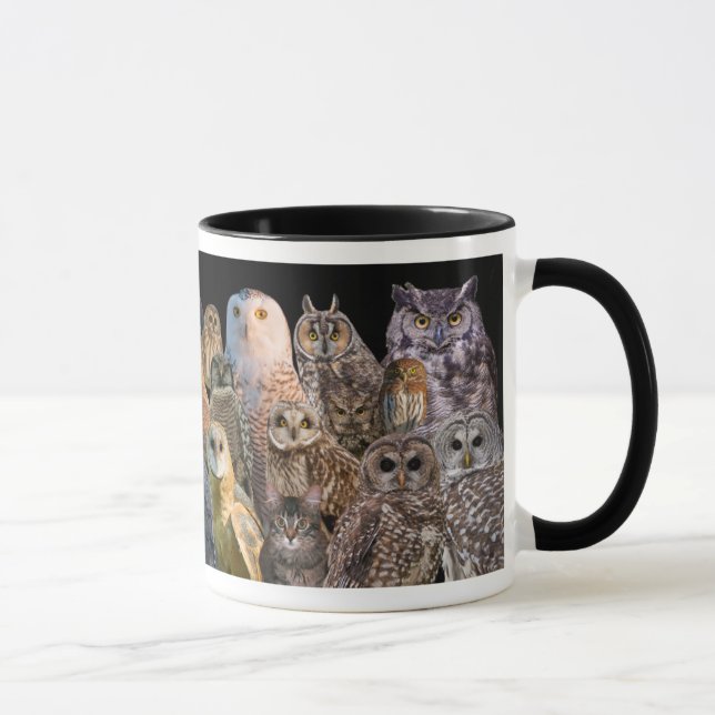 Mug Asio et otis avec des rapaces (Droite)
