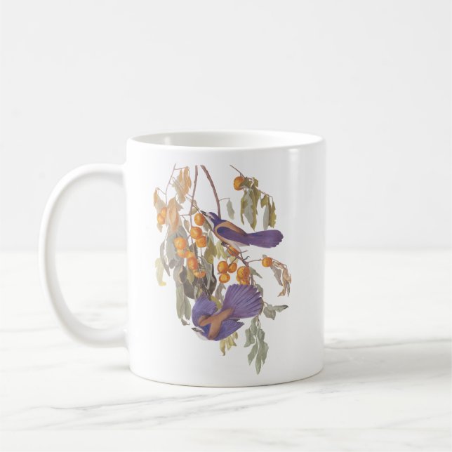 Mug Audubon Blue Florida Scruter Jay sur Orange Tree (Gauche)