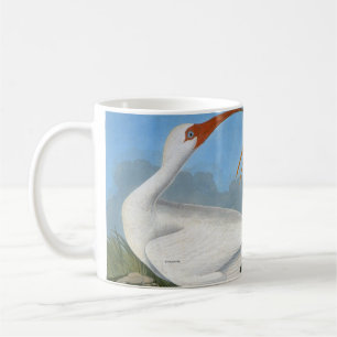 Mug Audubon : IBIS blanc