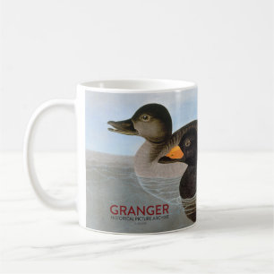 Mug Audubon : Macreuse noire